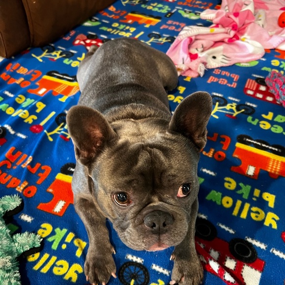 Meet your Posher, April - Picture 5 of 6